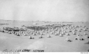 Photograph of ‘Horse and tent lines of the 1st Australian Light Horse Regiment’, Romani Area, ca. August 1916. Part of the Australian War Memorial Collection. P00153.020